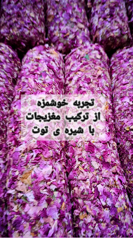 معجون درباری انرژی بار مغزچی با شیره توت، عسل و مغزیجات